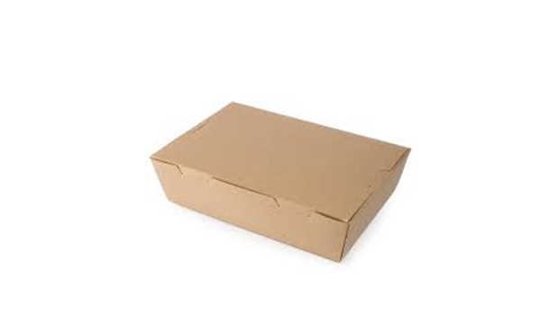 Kraft PE Lunch box